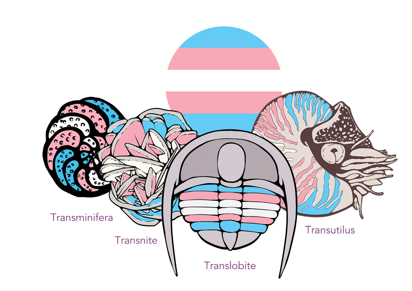 transgender pride flag